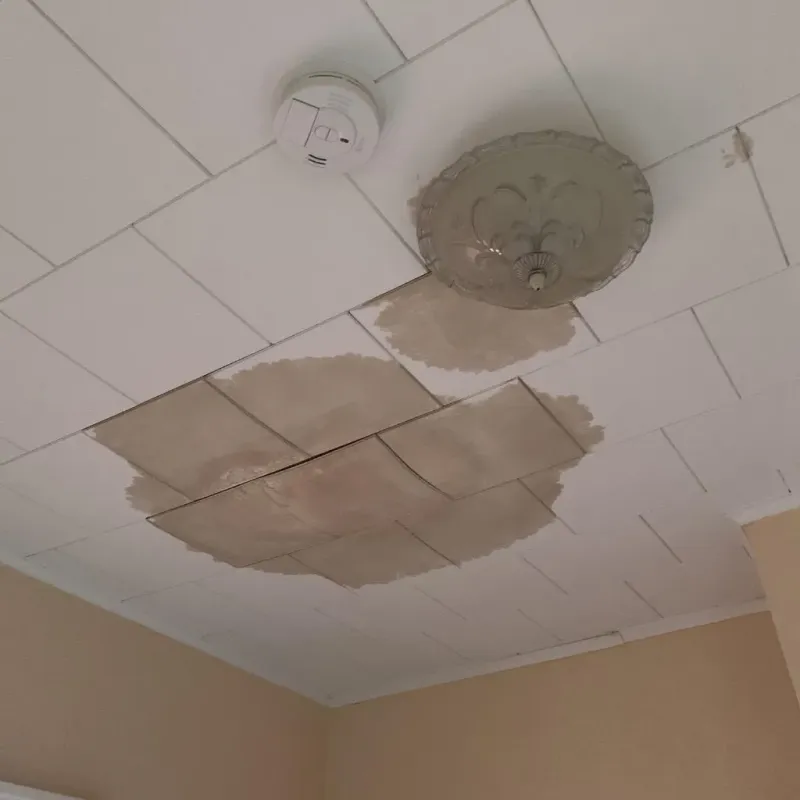 Ceiling Water Damage Repair in Cabell County, WV