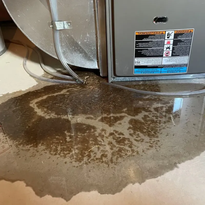 Pipe Burst and Leak Restoration in Cabell County, WV