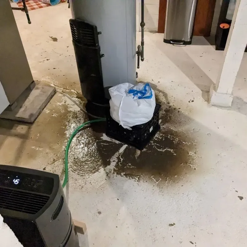 Sewage Backup Cleanup Service in Cabell County, WV